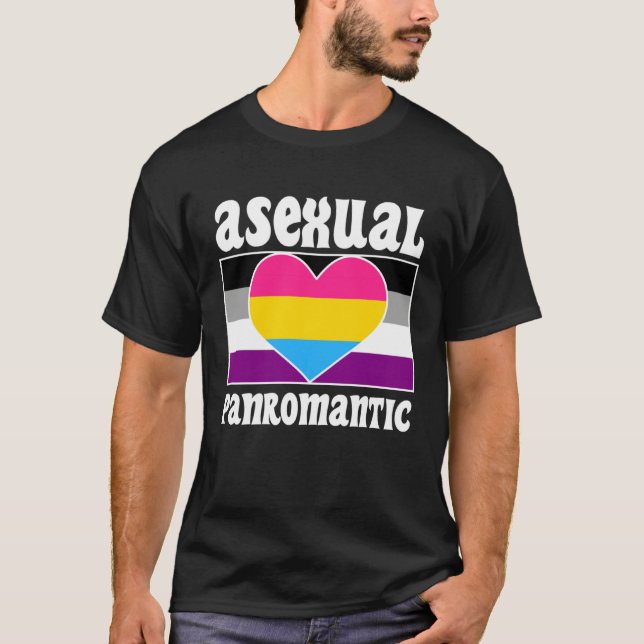 Asexual Panromantic Pride Flag Cute  Ace Aesthetic T-Shirt (Front)
