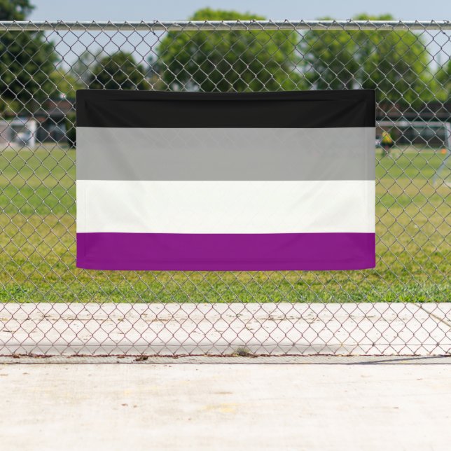 Asexual Pride Flag Banner (Insitu)