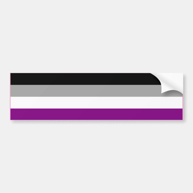 ASEXUAL PRIDE FLAG BAR BUMPER STICKER (Front)