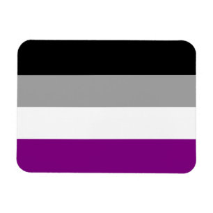 Asexual Pride Flag Magnet