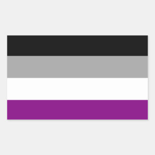 Asexual Pride Flag Rectangular Sticker