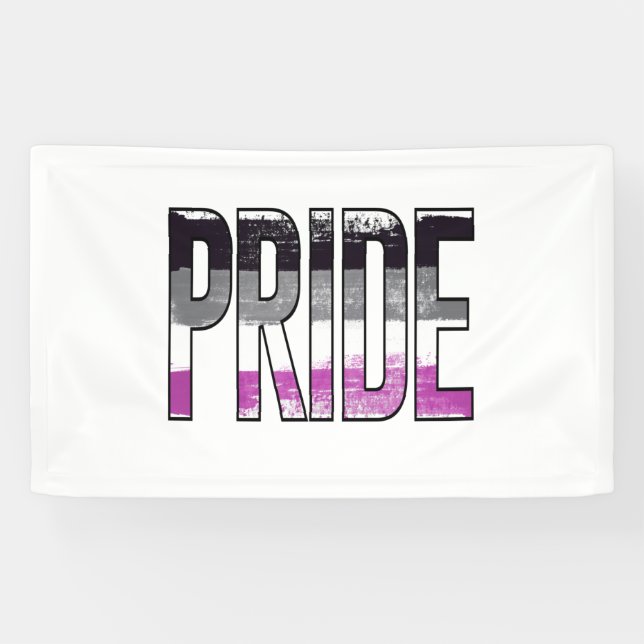 Asexual Pride Word Banner (Horizontal)