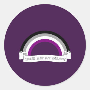 Asexuality pride rainbow classic round sticker