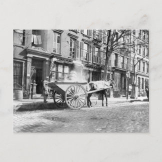 Ash Cart New York 1896 Postcard