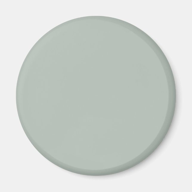 Ash grey (solid colour) magnet (Front)