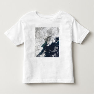 Ash plume from Mount Redoubt, Alaska Toddler T-Shirt