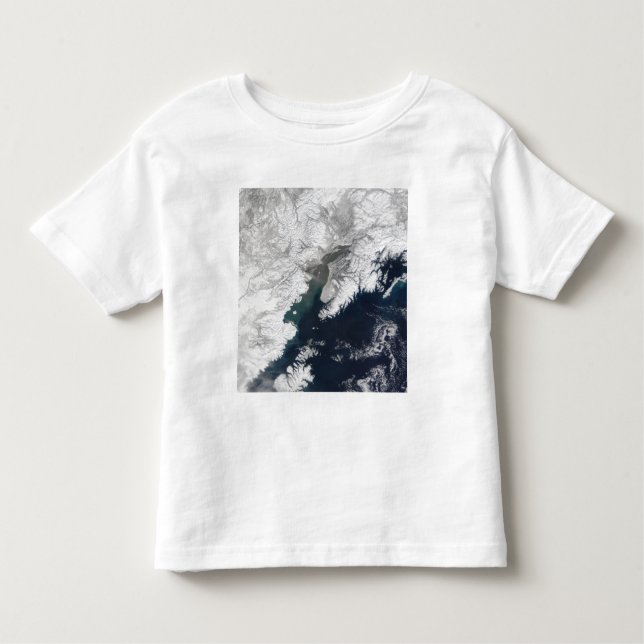 Ash plume from Mount Redoubt, Alaska Toddler T-Shirt (Front)