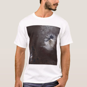 Ash stains on Russia's Shiveluch volcano�s sl T-Shirt