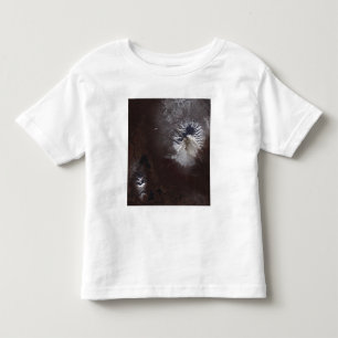 Ash stains on Russia's Shiveluch volcanoÃ¯Â¿Â Toddler T-Shirt