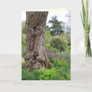 Ash Tree textured bark patterns Hidcote Garden Card