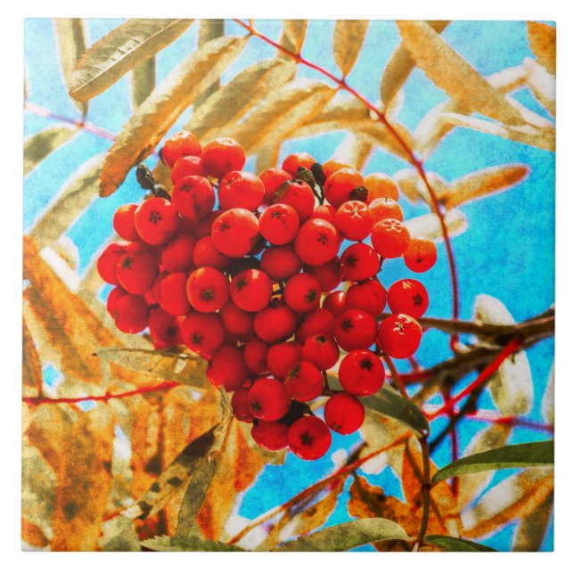 Ashberry artistic ceramic tile (Front)