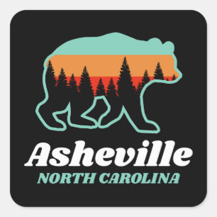 Asheville North Carolina Bear Forest Retro Vintage Square Sticker