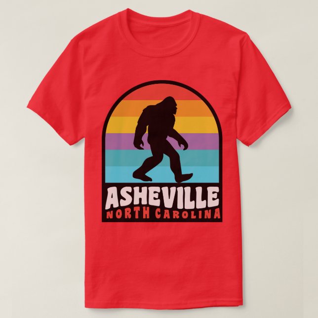 Asheville North olina Blue Ridge Mountains T-Shirt (Design Front)
