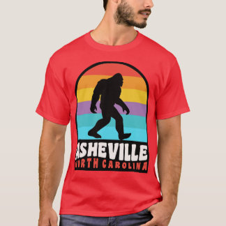Asheville North olina Blue Ridge Mountains T-Shirt