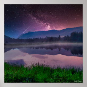 Ashley National Forest Poster