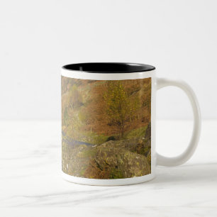 Ashness Bridge, Lake District, Cumbria, England Two-Tone Coffee Mug