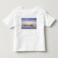 Asia, Burma, (Myanmar) Fishing boat reflected on