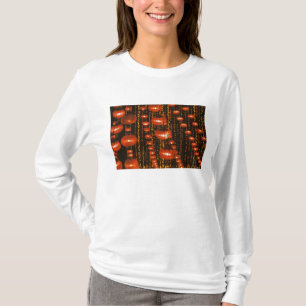 Asia, China, Beijing. Red Chinese lanterns, T-Shirt