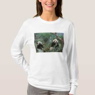 Asia, China, Chengdu. Giant Panda Sanctuary T-Shirt