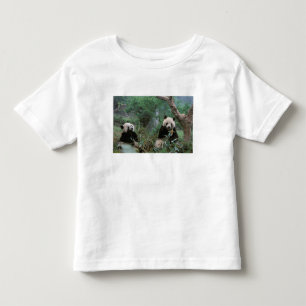 Asia, China, Chengdu. Giant Panda Sanctuary Toddler T-Shirt
