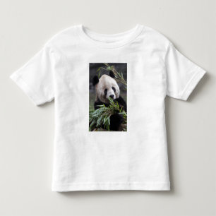 Asia, China Chongqing. Giant Panda Toddler T-Shirt