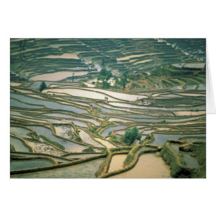 Asia, China. Flooded rice terraces near Nano