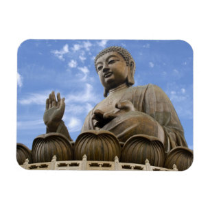 Asia, China, Hong Kong, Lantau Island, Ngong Magnet