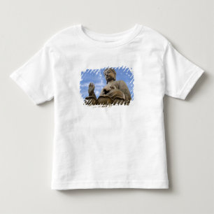 Asia, China, Hong Kong, Lantau Island, Ngong Toddler T-Shirt