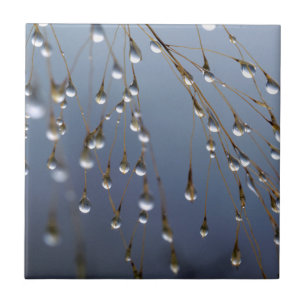 Asia, China   Huansan, Dewdrops Ceramic Tile