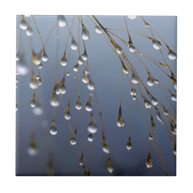Asia, China | Huansan, Dewdrops Ceramic Tile (Front)