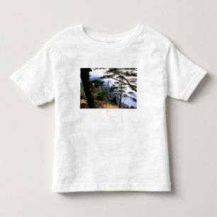 Asia, China, Huanshan. The yellow mountain Toddler T-Shirt