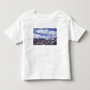 Asia, China, Tibet, Tangla Pass. Prayer flags, Toddler T-Shirt