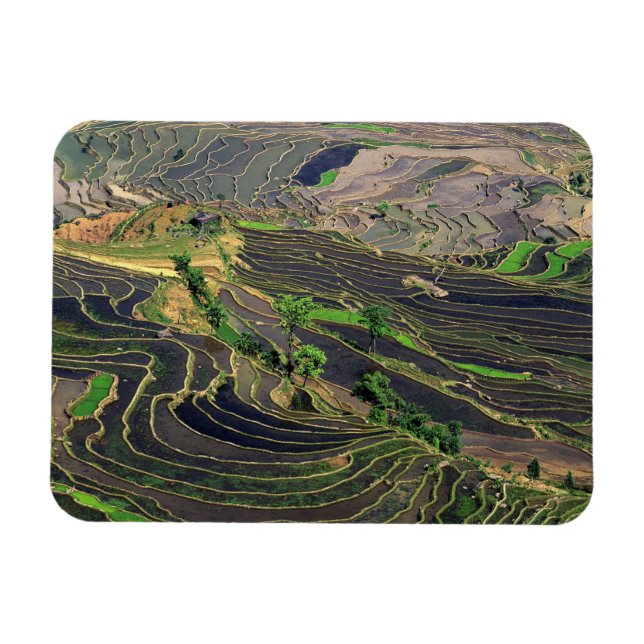 Asia, China, Yunnan, Honghe. Rice Terraces near Magnet (Horizontal)