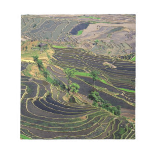 Asia, China, Yunnan, Honghe. Rice Terraces near Notepad