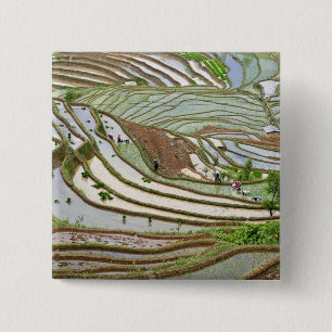 Asia, China, Yunnan, Jinping. Native Yi people 15 Cm Square Badge