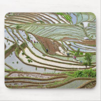Asia, China, Yunnan, Jinping. Native Yi people