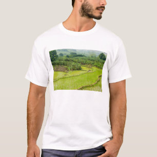 Asia, China, Yunnan Province, Honghe. Banana T-Shirt