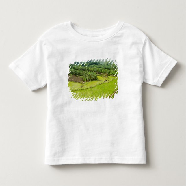 Asia, China, Yunnan Province, Honghe. Banana Toddler T-Shirt (Front)