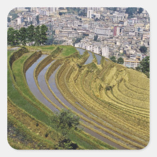 Asia, China, Yunnan Province, Jinping. Jinping Square Sticker