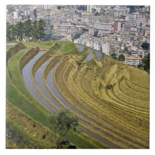 Asia, China, Yunnan Province, Jinping. Jinping Tile