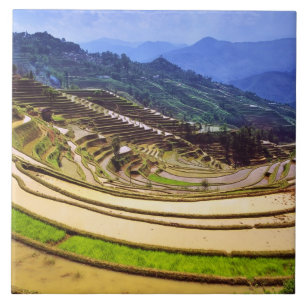 Asia, China, Yunnan Province, Yuanyang County. Ceramic Tile