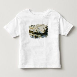 Asia, China, Yunnan Province, Yuanyang County. Toddler T-Shirt