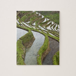 Asia, China, Yunnan, Yuanyang. Flooded rice Jigsaw Puzzle