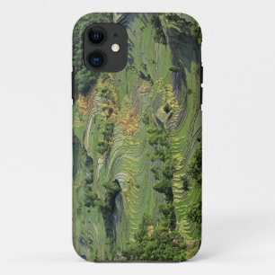 Asia, China, Yunnan, Yuanyang. Pattern of green 2 iPhone 11 Case