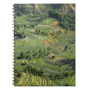 Asia, China, Yunnan, Yuanyang. Pattern of green 2 Notebook
