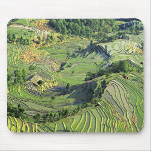 Asia, China, Yunnan, Yuanyang. Pattern of green Mouse Pad