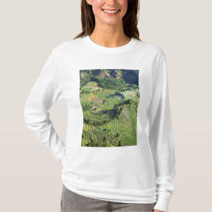 Asia, China, Yunnan, Yuanyang. Pattern of green T-Shirt
