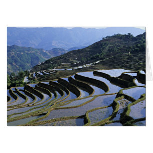 Asia, China, Yunnan, Yuanyang. Rugged