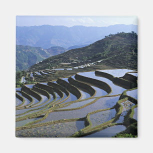Asia, China, Yunnan, Yuanyang. Rugged Magnet