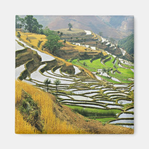Asia, China, Yunnan, Yuxi Prefecture; Yuanjiang. Magnet